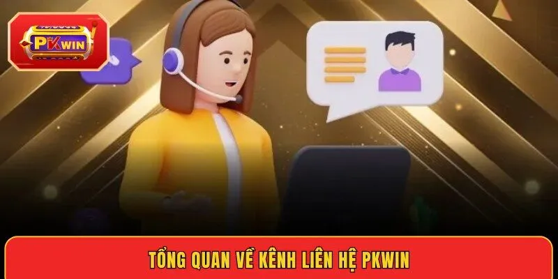 tong-quan-ve-kenh-lien-he-pkwin